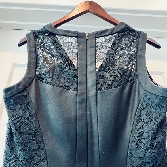 Knee-length LBD with Lace Panels - Picture 5 of 7